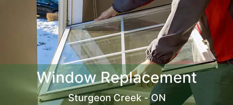  Window Replacement Sturgeon Creek - ON