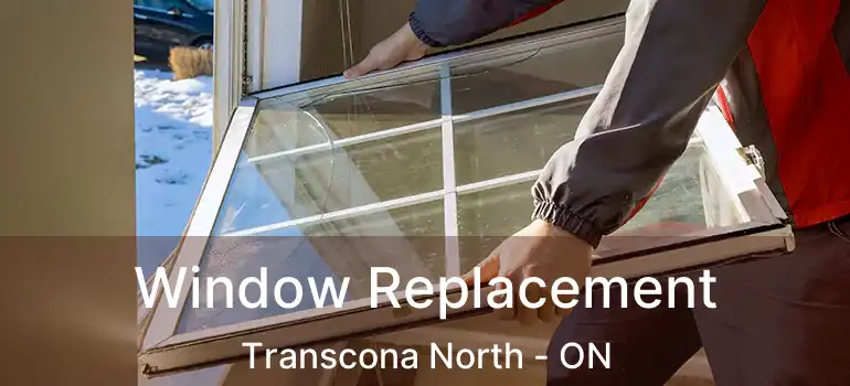  Window Replacement Transcona North - ON