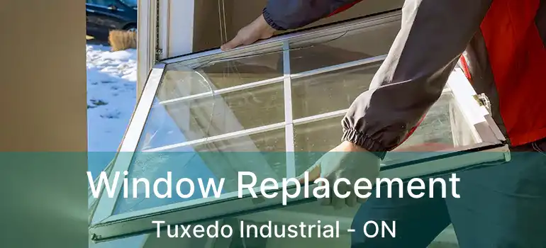  Window Replacement Tuxedo Industrial - ON