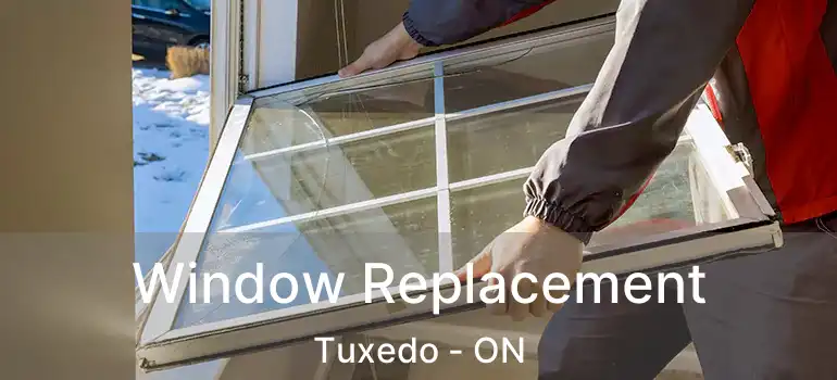  Window Replacement Tuxedo - ON