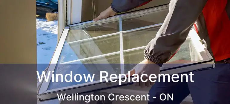  Window Replacement Wellington Crescent - ON