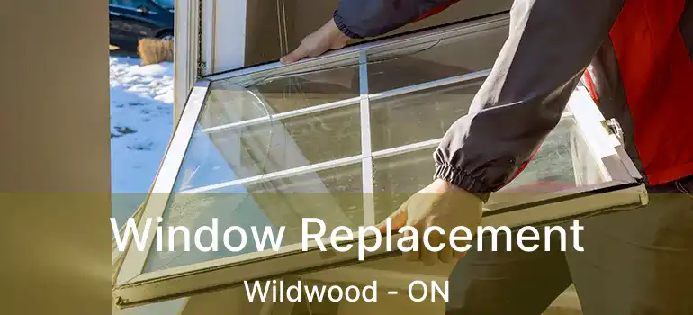  Window Replacement Wildwood - ON