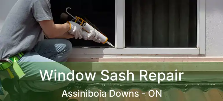  Window Sash Repair Assiniboia Downs - ON