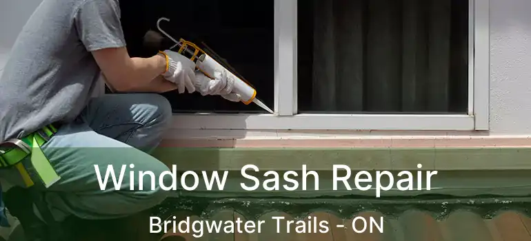  Window Sash Repair Bridgwater Trails - ON