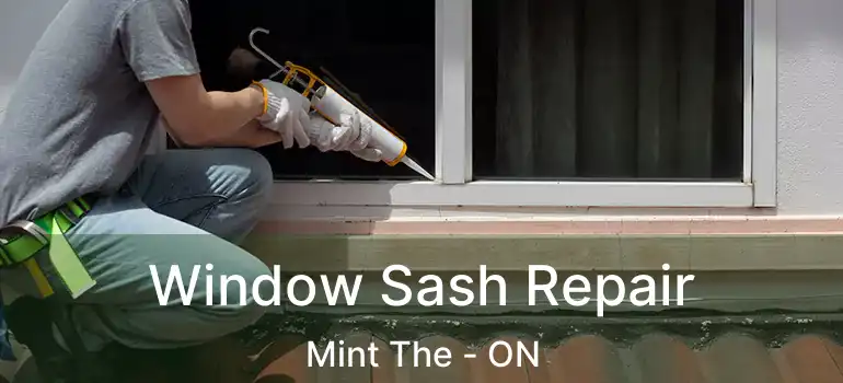  Window Sash Repair Mint The - ON