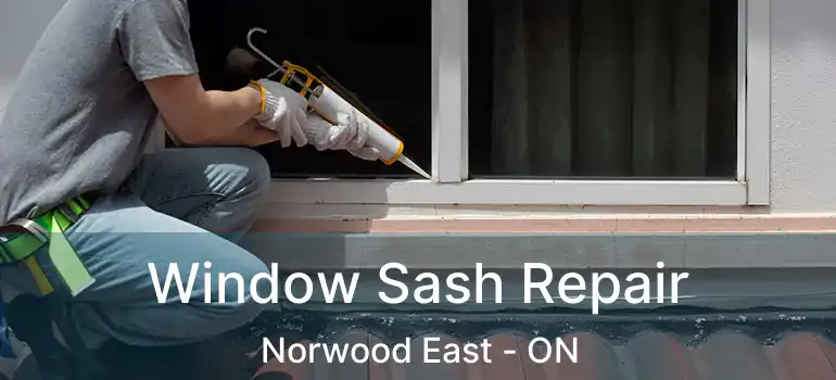  Window Sash Repair Norwood East - ON