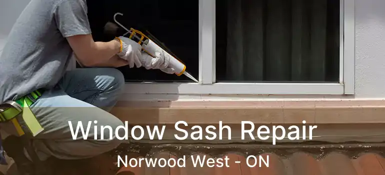  Window Sash Repair Norwood West - ON