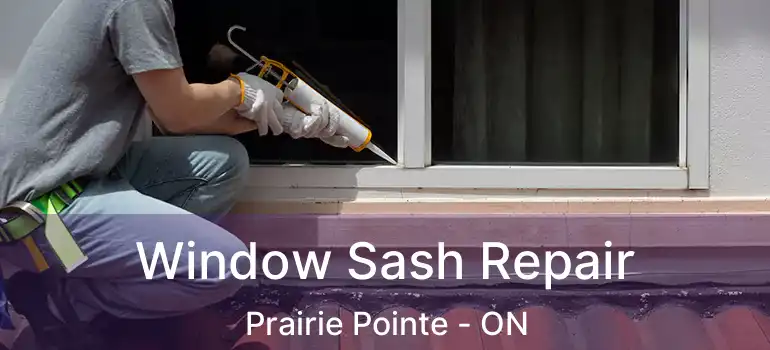  Window Sash Repair Prairie Pointe - ON
