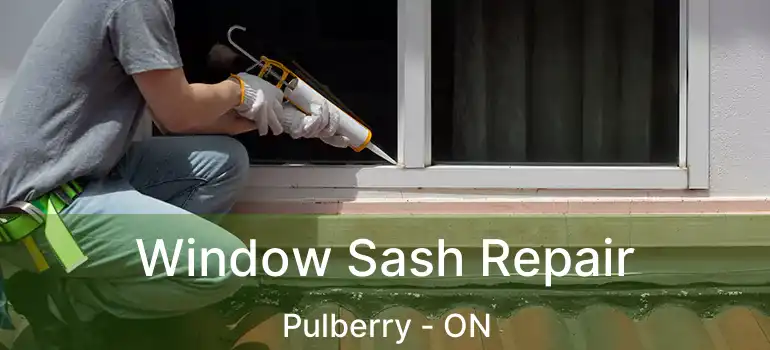  Window Sash Repair Pulberry - ON