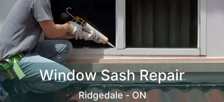  Window Sash Repair Ridgedale - ON