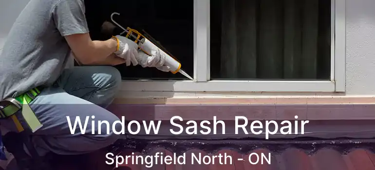  Window Sash Repair Springfield North - ON