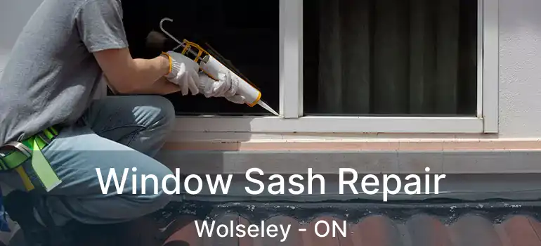  Window Sash Repair Wolseley - ON