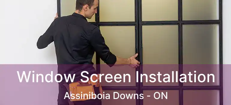  Window Screen Installation Assiniboia Downs - ON