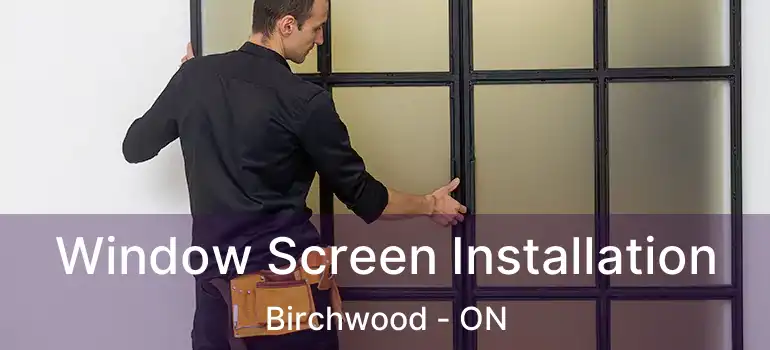  Window Screen Installation Birchwood - ON