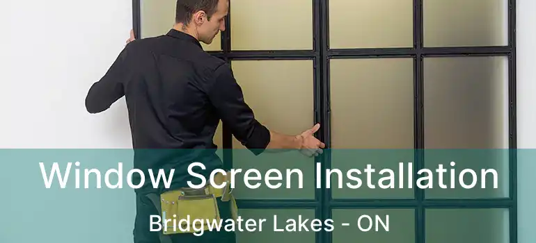  Window Screen Installation Bridgwater Lakes - ON