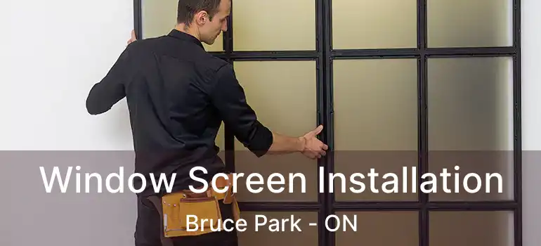  Window Screen Installation Bruce Park - ON