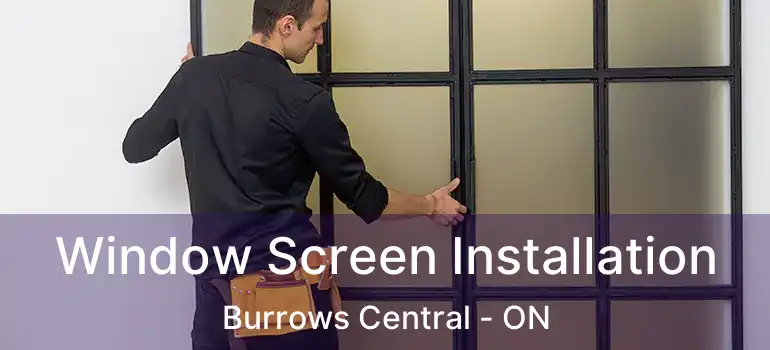  Window Screen Installation Burrows Central - ON