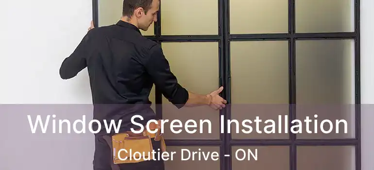  Window Screen Installation Cloutier Drive - ON