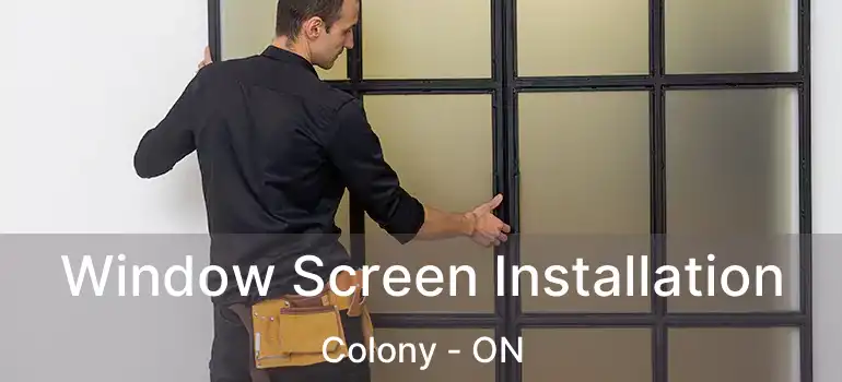  Window Screen Installation Colony - ON