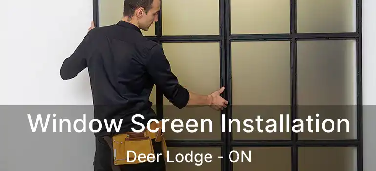  Window Screen Installation Deer Lodge - ON
