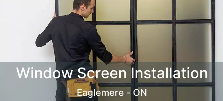  Window Screen Installation Eaglemere - ON