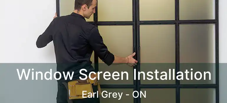  Window Screen Installation Earl Grey - ON