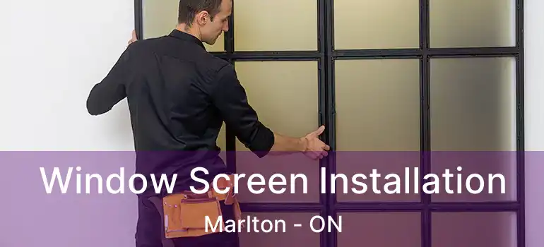  Window Screen Installation Marlton - ON