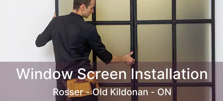  Window Screen Installation Rosser - Old Kildonan - ON