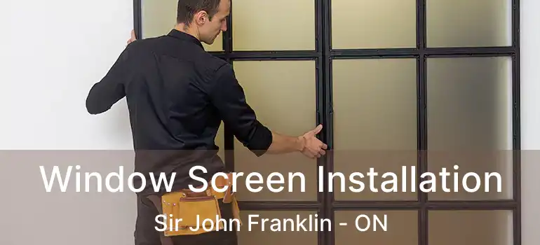  Window Screen Installation Sir John Franklin - ON