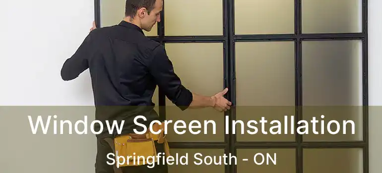  Window Screen Installation Springfield South - ON