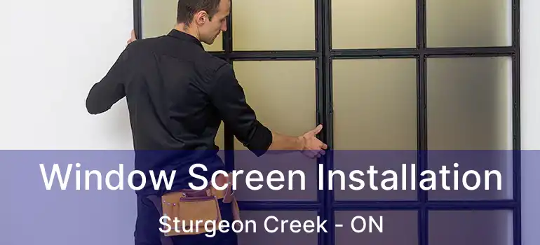  Window Screen Installation Sturgeon Creek - ON