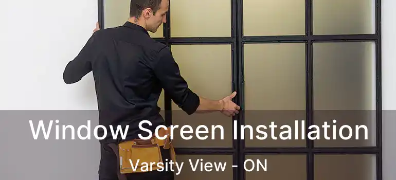  Window Screen Installation Varsity View - ON