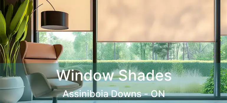  Window Shades Assiniboia Downs - ON