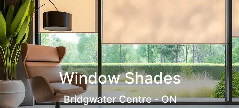  Window Shades Bridgwater Centre - ON
