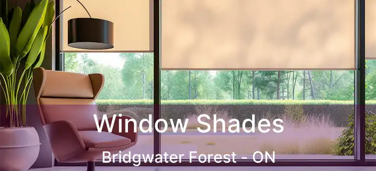  Window Shades Bridgwater Forest - ON