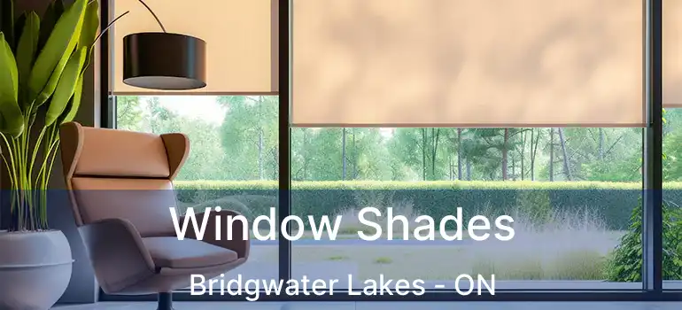  Window Shades Bridgwater Lakes - ON