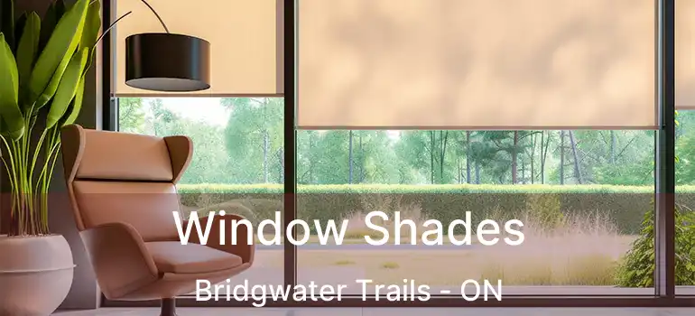  Window Shades Bridgwater Trails - ON