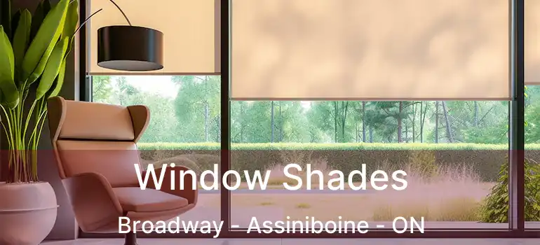  Window Shades Broadway - Assiniboine - ON