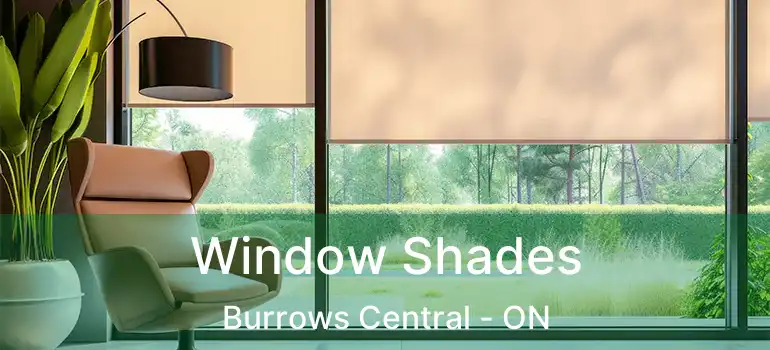  Window Shades Burrows Central - ON