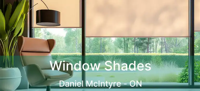  Window Shades Daniel McIntyre - ON