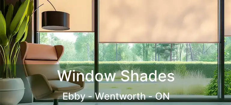  Window Shades Ebby - Wentworth - ON