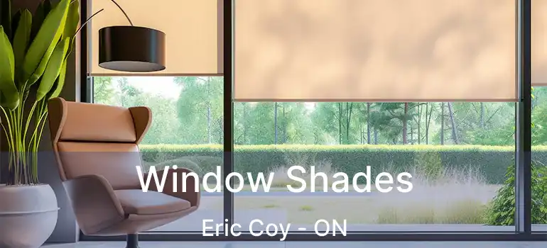  Window Shades Eric Coy - ON