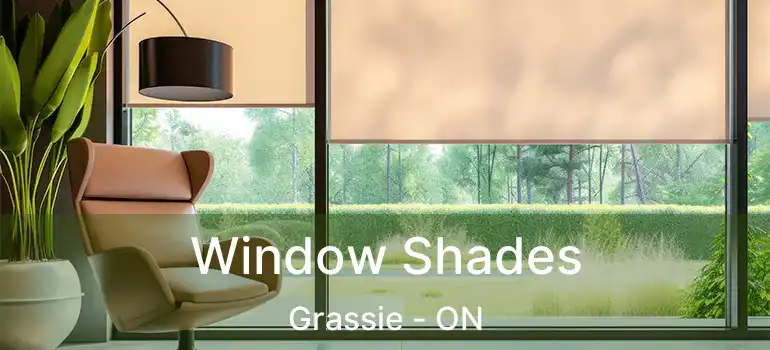  Window Shades Grassie - ON