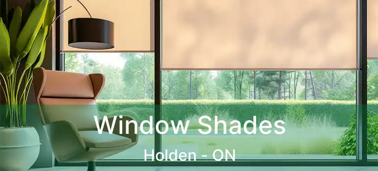  Window Shades Holden - ON