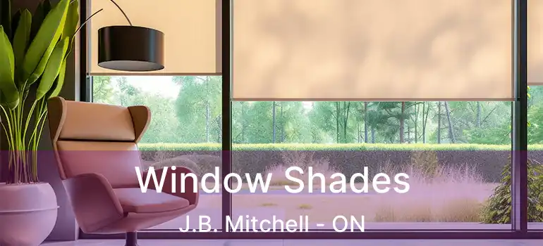  Window Shades J.B. Mitchell - ON