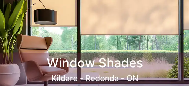  Window Shades Kildare - Redonda - ON