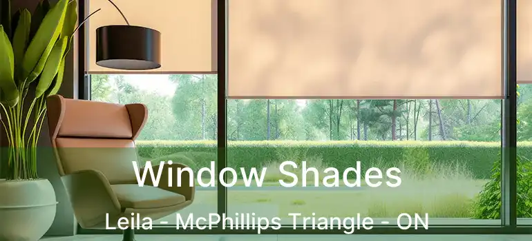  Window Shades Leila - McPhillips Triangle - ON