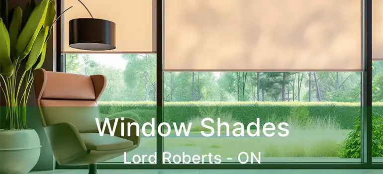  Window Shades Lord Roberts - ON