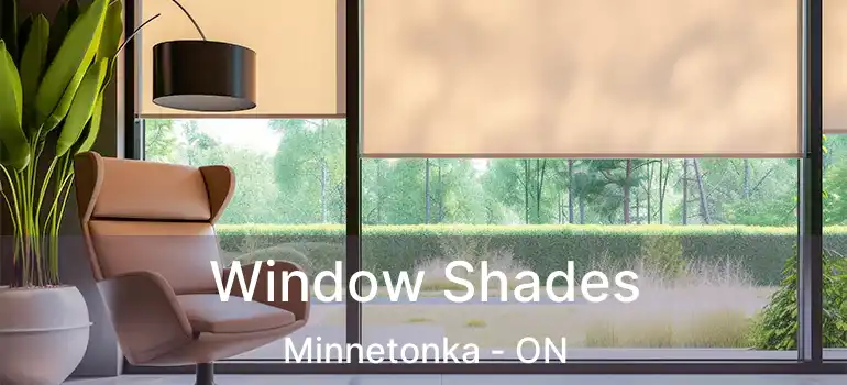  Window Shades Minnetonka - ON