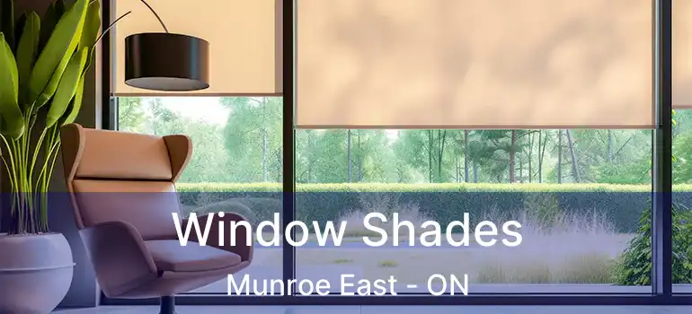  Window Shades Munroe East - ON